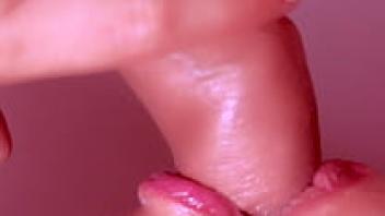 wife of a blowjob Japanese man