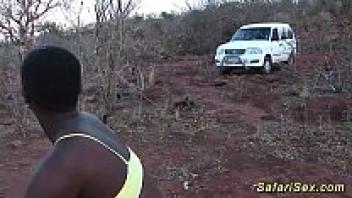 safari sex orgy in the wilds of Africa