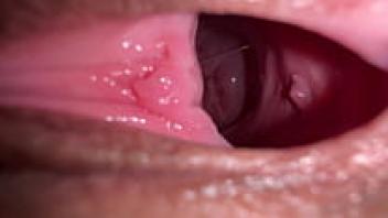 The interior of a gorgeous 18-year-old girl's wide-open pussy