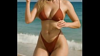 A gorgeous golden mare on the shore