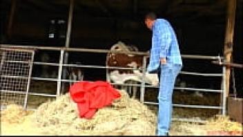 Dirty fat milf gets come on the hay and a hard dick.